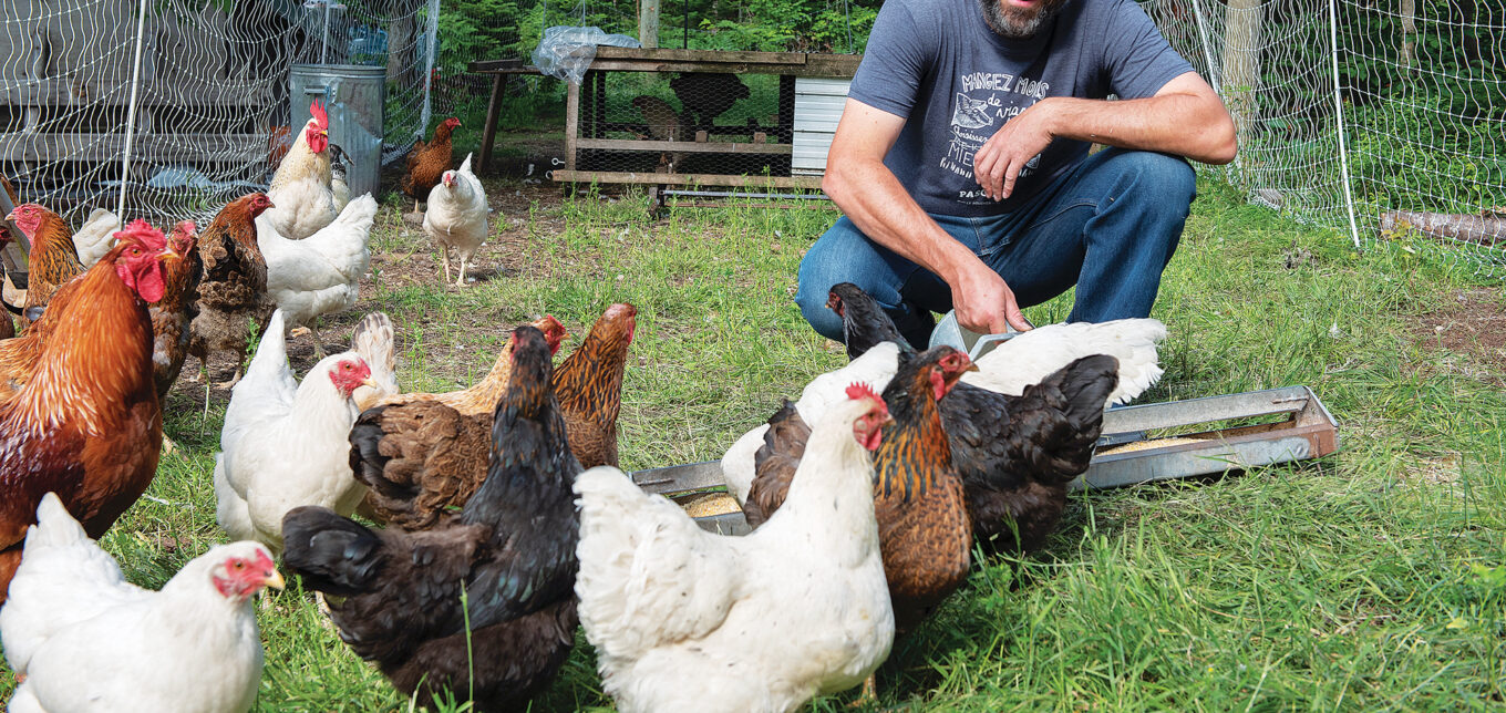 How To Teach Homesteading Classes – Mother Earth News - Vimarsana News
